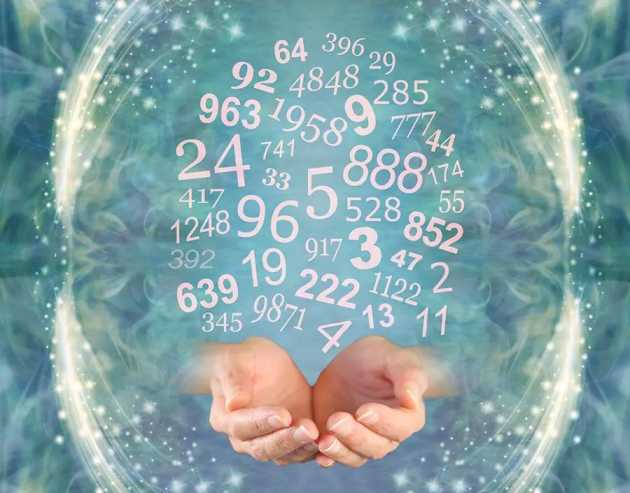 Numerology Book