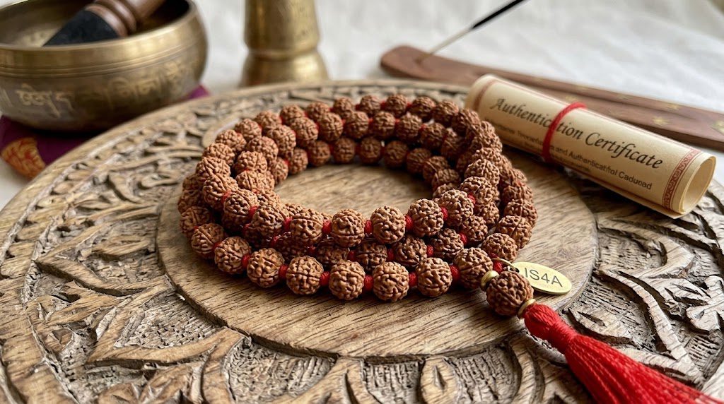Nepali Rudraksha